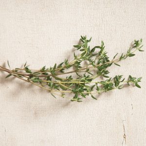 Summer Thyme Seed