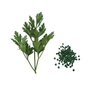 Giant of Italy Multi-Seed Pelleted Parsley Seed