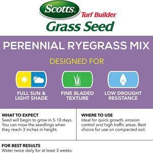 Scotts Turf Builder Grass Seed Perennial Ryegrass Mix Repairs Bare Spots, Ideal for High Traffic and Erosion Control, 7 lbs.