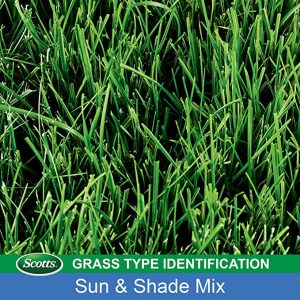 Scotts Turf Builder Grass Seed Sun & Shade Mix with WaterSmart Plus Coating Technology, 40 lbs.