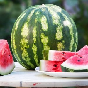 Watermelon Crimson Sweet Fruit Seeds Giant Vegetable for Planting Organic Non GMO 30 Seeds