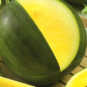 Watermelon Yellow Seeds Rare Janosik Yanosik Vegetable for Planting Giant Non GMO 10 Seeds