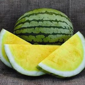 Watermelon Yellow Seeds Rare Janosik Yanosik Vegetable for Planting Giant Non GMO 10 Seeds