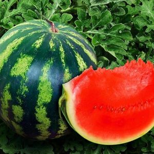 Watermelon Crimson Sweet Fruit Seeds Giant Vegetable for Planting Organic Non GMO 30 Seeds